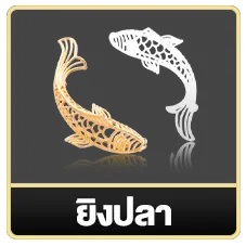vpm44 ยิงปลา